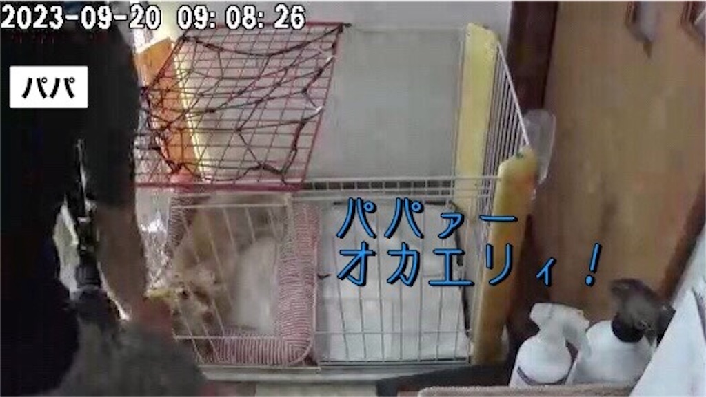 f:id:renkunno:20230920124908j:image