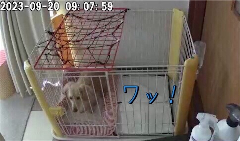 f:id:renkunno:20230920124911j:image