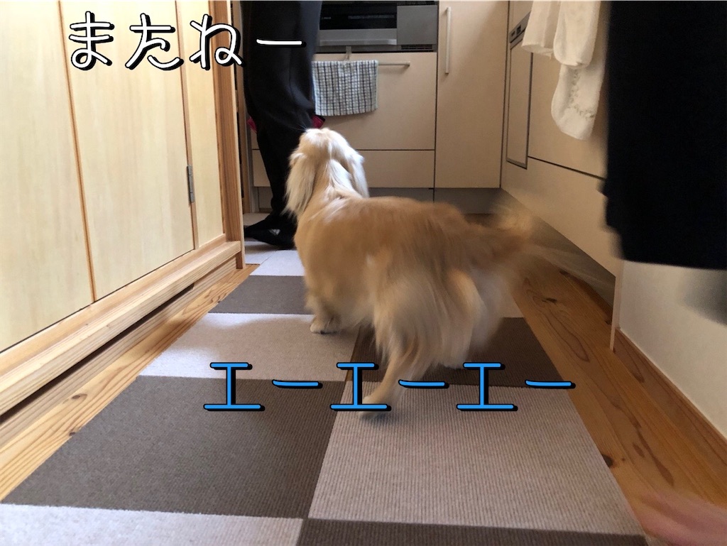 f:id:renkunno:20230926210729j:image