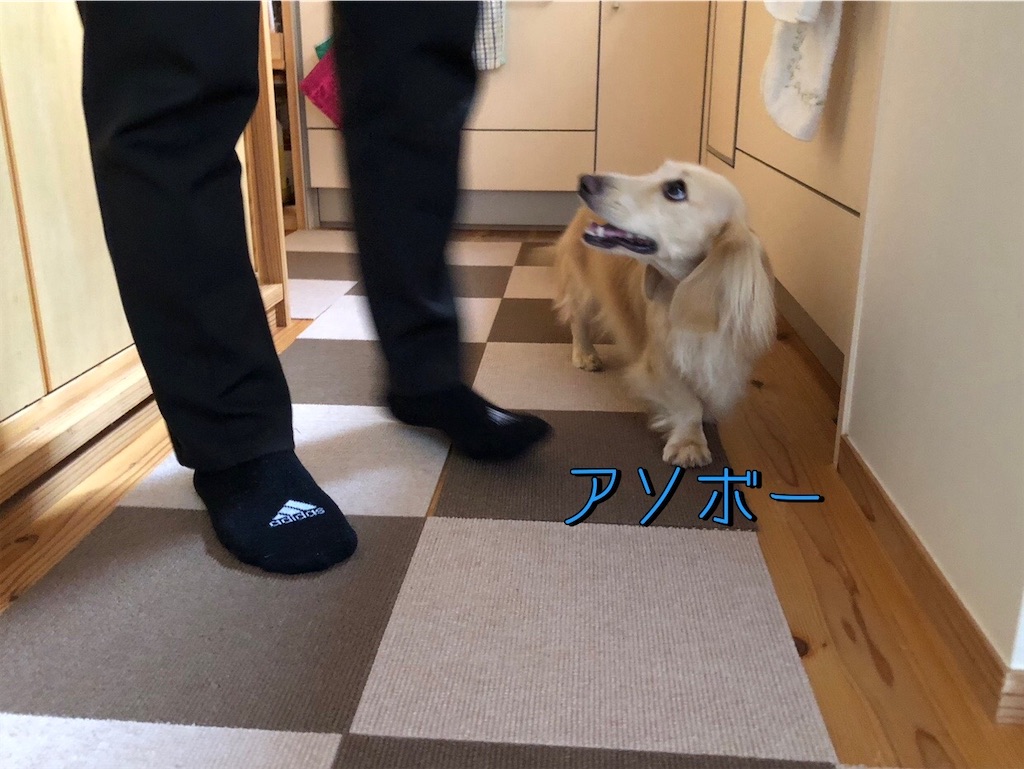 f:id:renkunno:20230926210733j:image