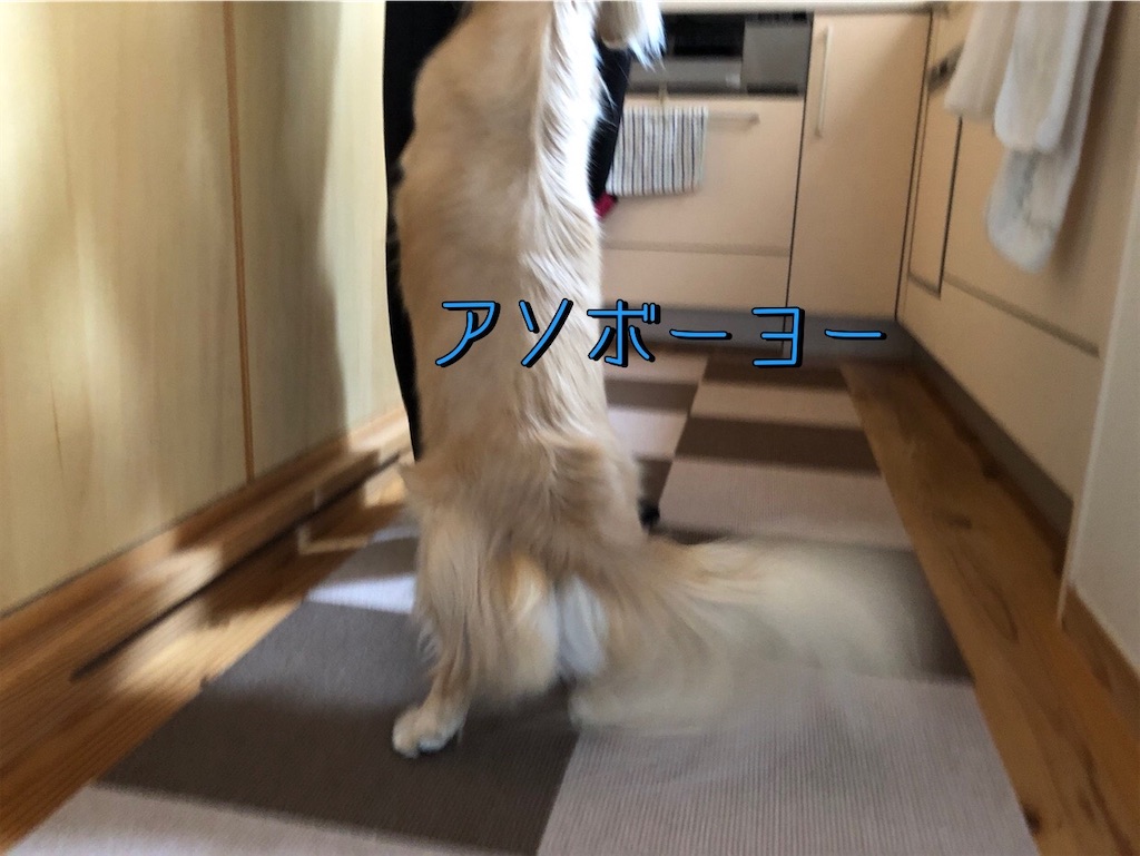f:id:renkunno:20230926210740j:image
