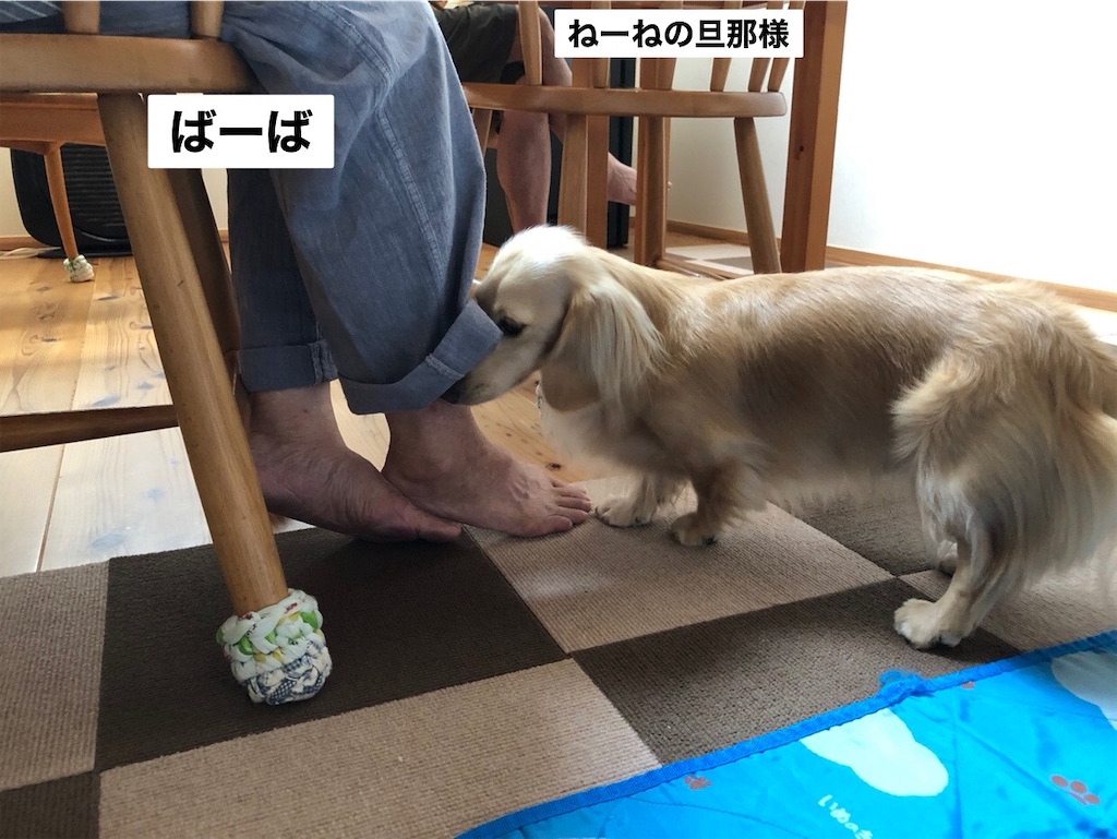 f:id:renkunno:20230926211705j:image
