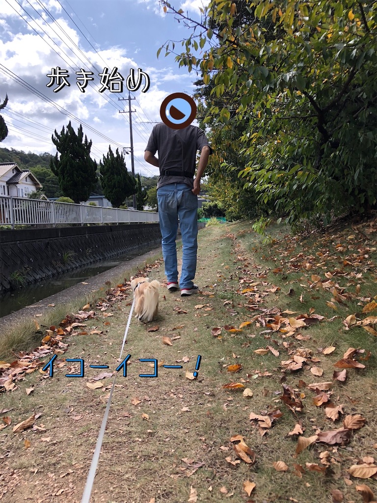 f:id:renkunno:20231006132306j:image f:id:renkunno:20231006132306j:image