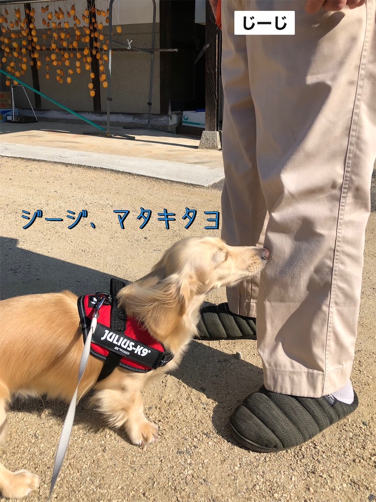 f:id:renkunno:20231017223329j:image f:id:renkunno:20231017223329j:image