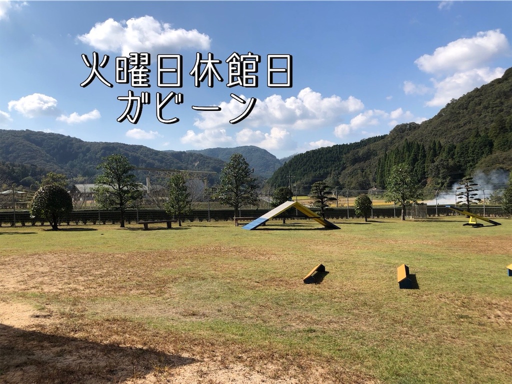 f:id:renkunno:20231017223341j:image f:id:renkunno:20231017223341j:image