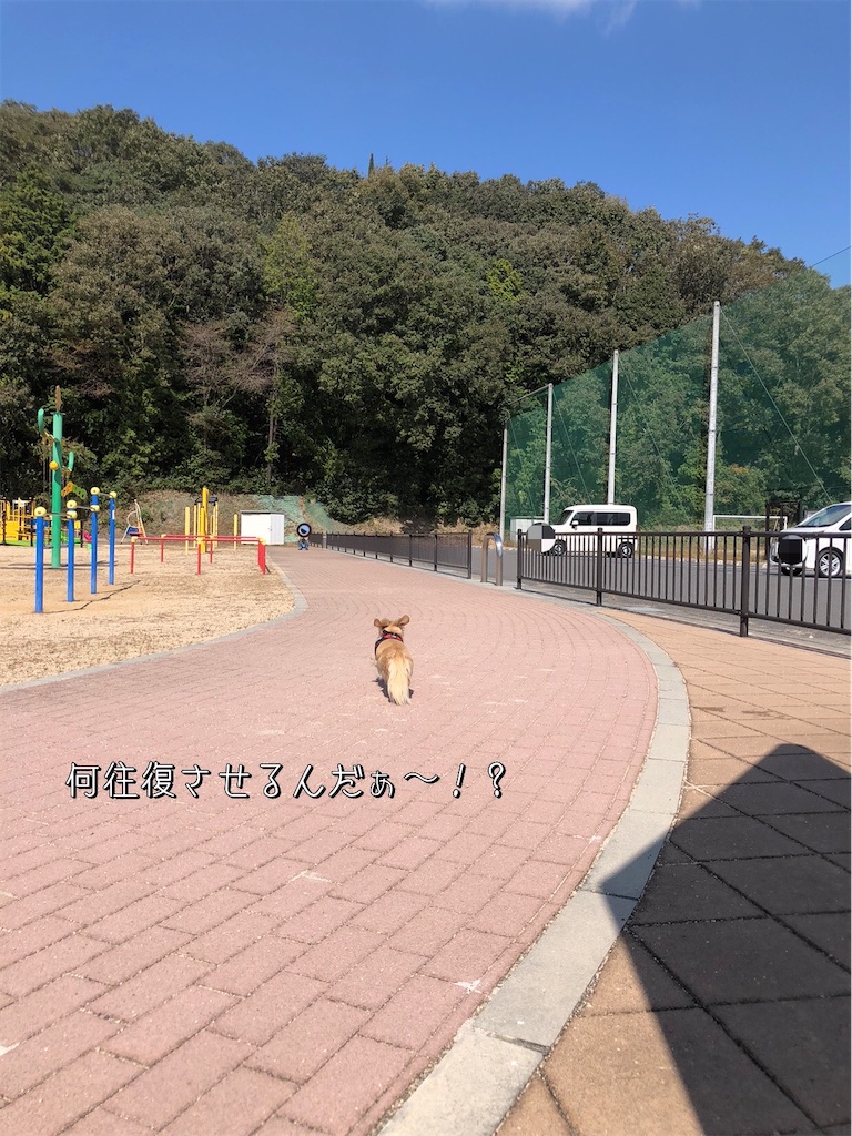 f:id:renkunno:20231018090301j:image f:id:renkunno:20231018090301j:image