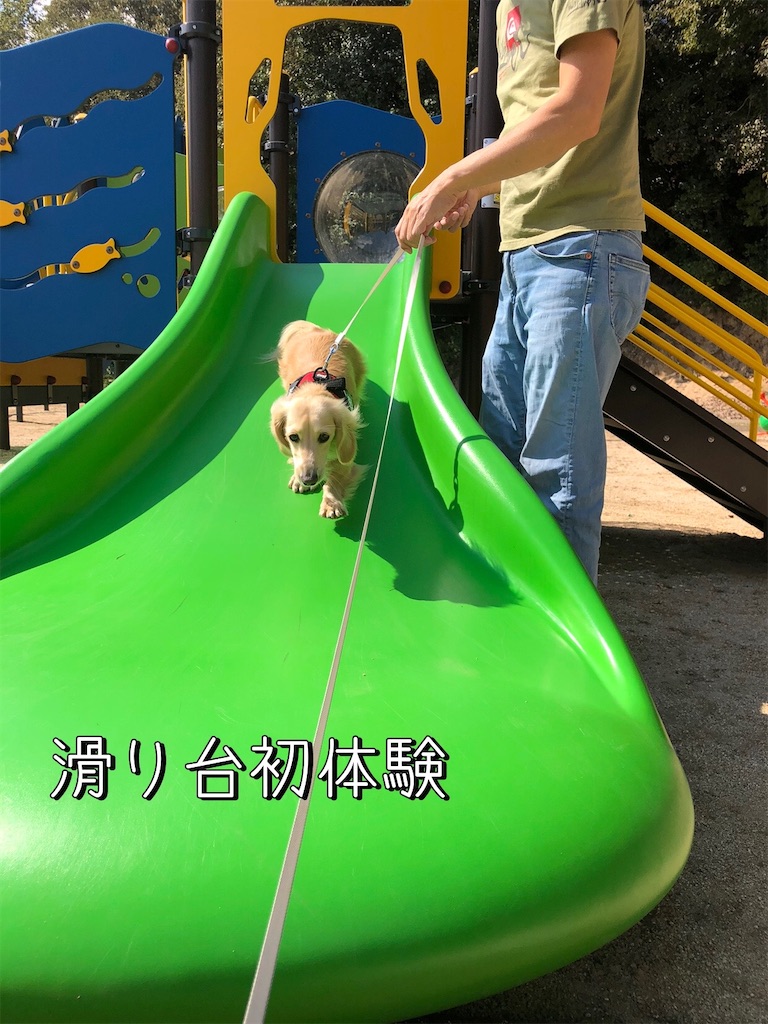 f:id:renkunno:20231018090305j:image f:id:renkunno:20231018090305j:image