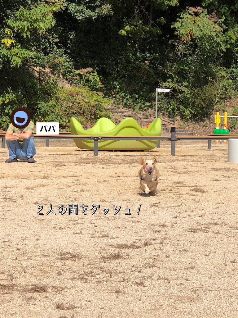 f:id:renkunno:20231018090309j:image f:id:renkunno:20231018090309j:image