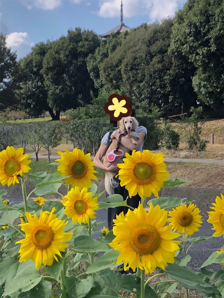 f:id:renkunno:20231018090313j:image f:id:renkunno:20231018090313j:image