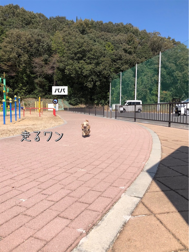f:id:renkunno:20231018090317j:image f:id:renkunno:20231018090317j:image