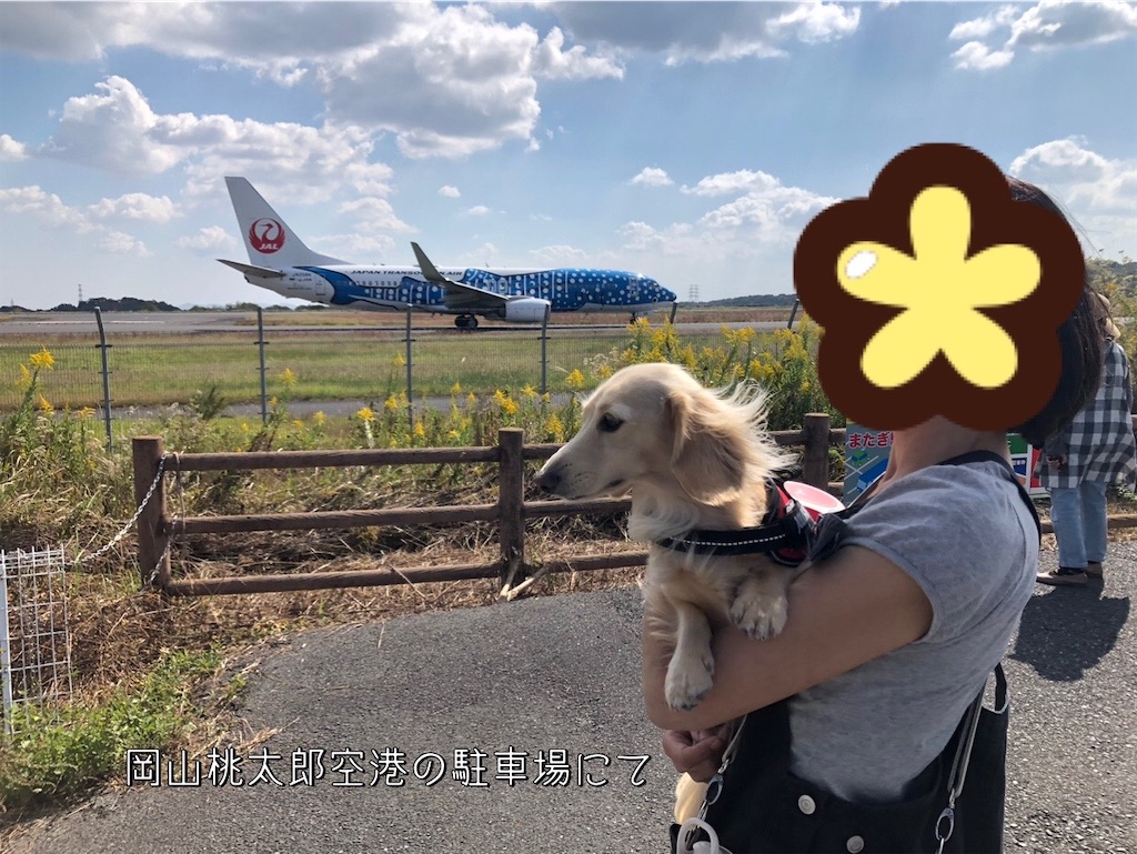 f:id:renkunno:20231018090320j:image f:id:renkunno:20231018090320j:image