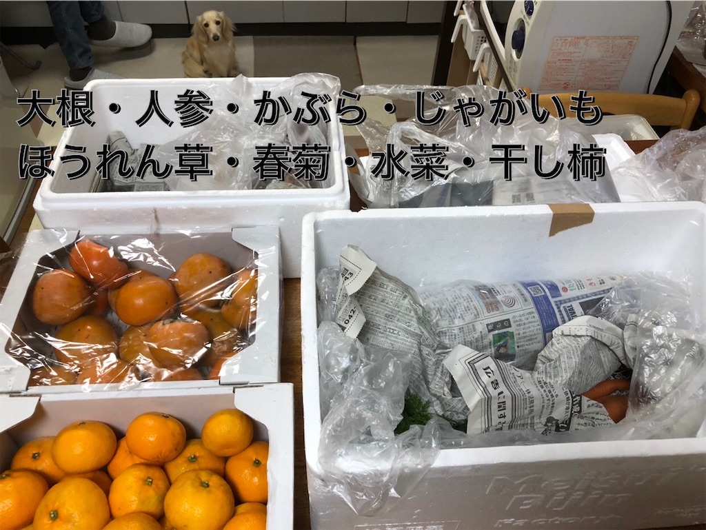 f:id:renkunno:20231109192606j:image f:id:renkunno:20231109192606j:image