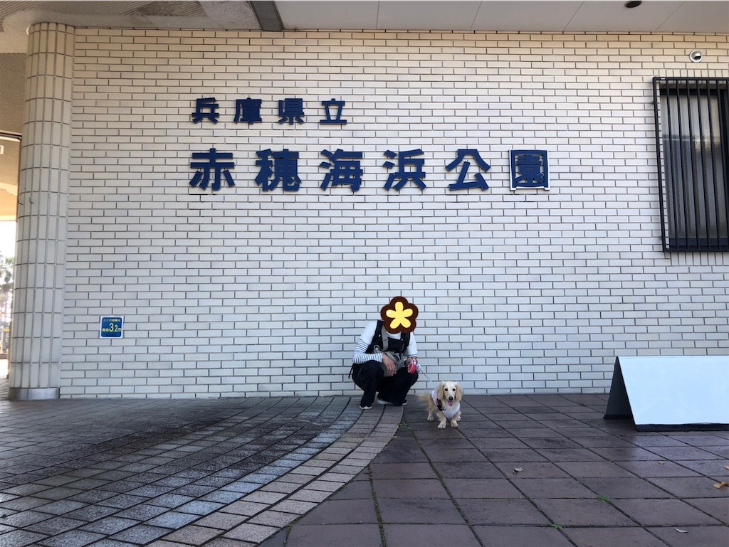 f:id:renkunno:20231123120755j:image