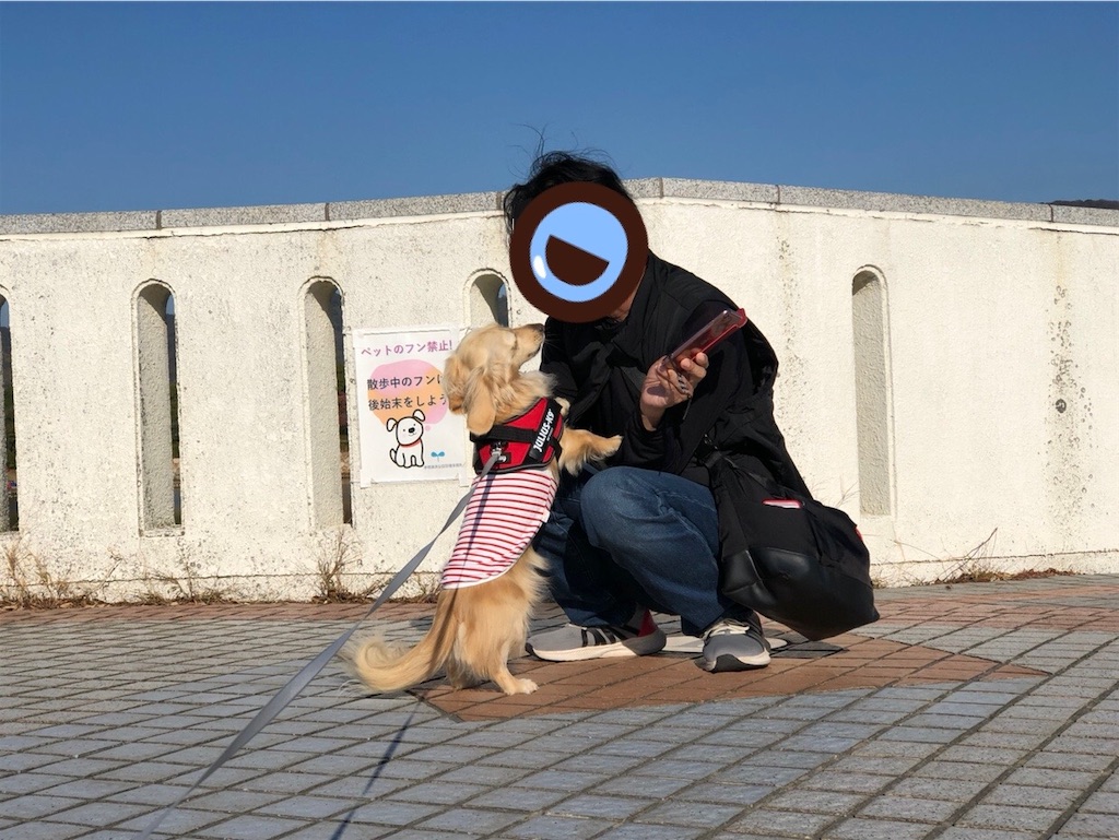 f:id:renkunno:20231123122216j:image