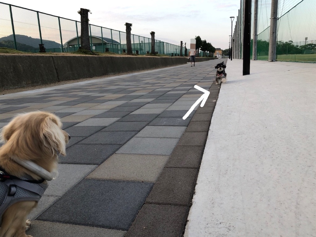 f:id:renkunno:20231201110153j:image