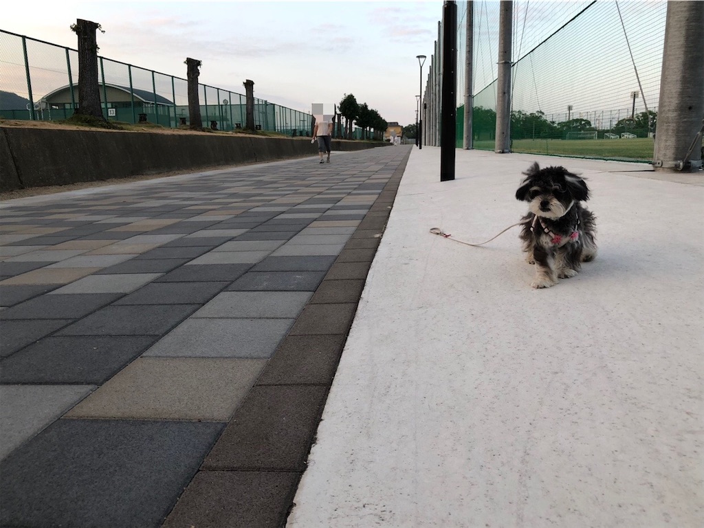 f:id:renkunno:20231201110200j:image