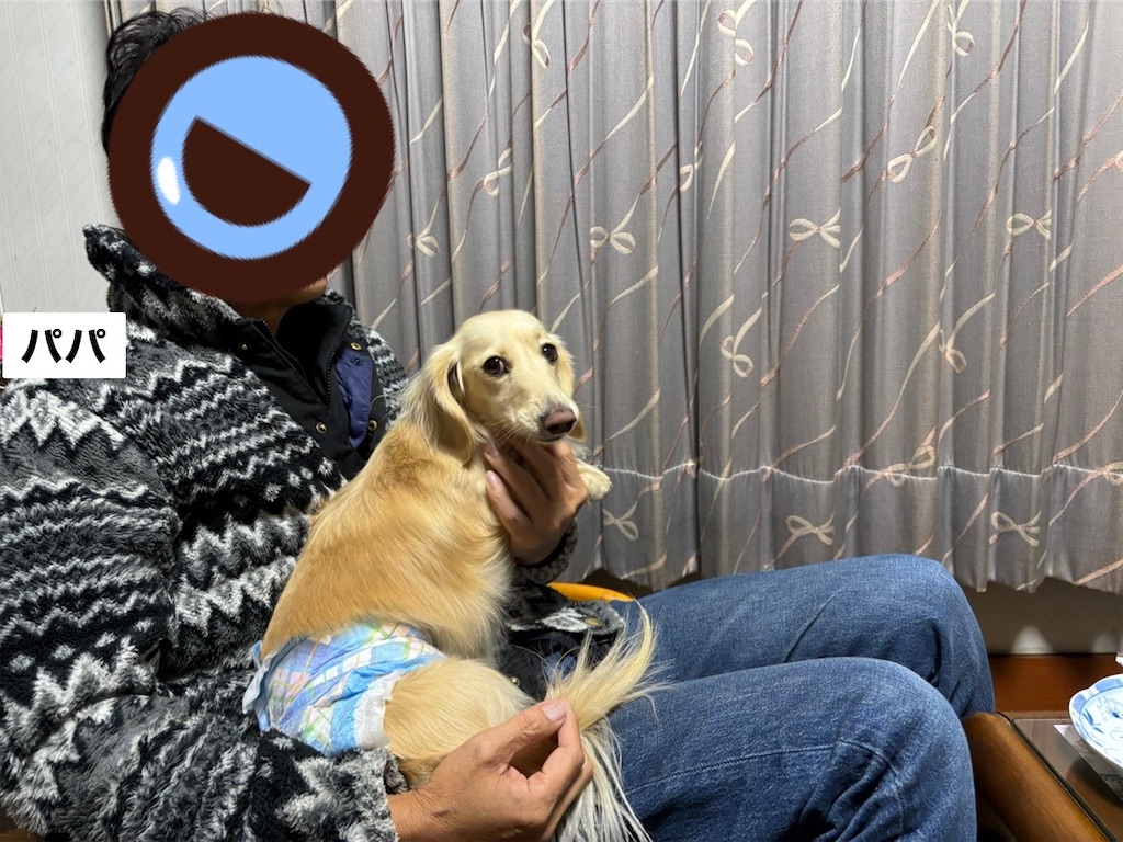 f:id:renkunno:20231229215802j:image
