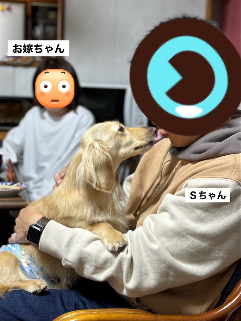 f:id:renkunno:20231229220837j:image