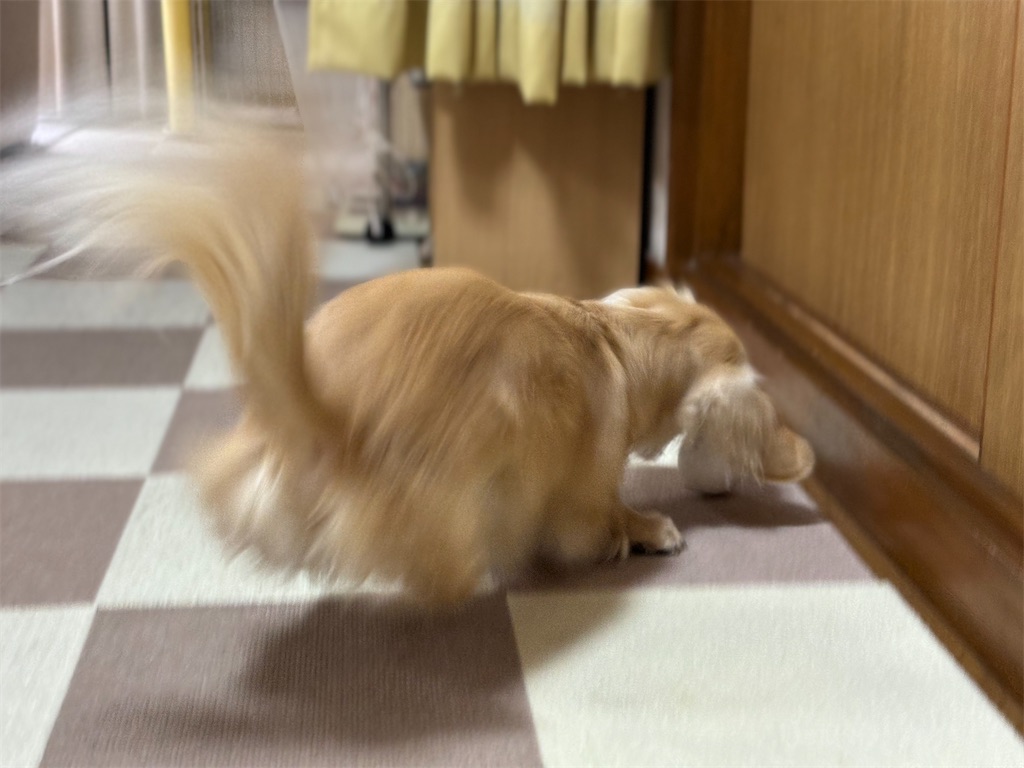 f:id:renkunno:20240112105127j:image f:id:renkunno:20240112105127j:image