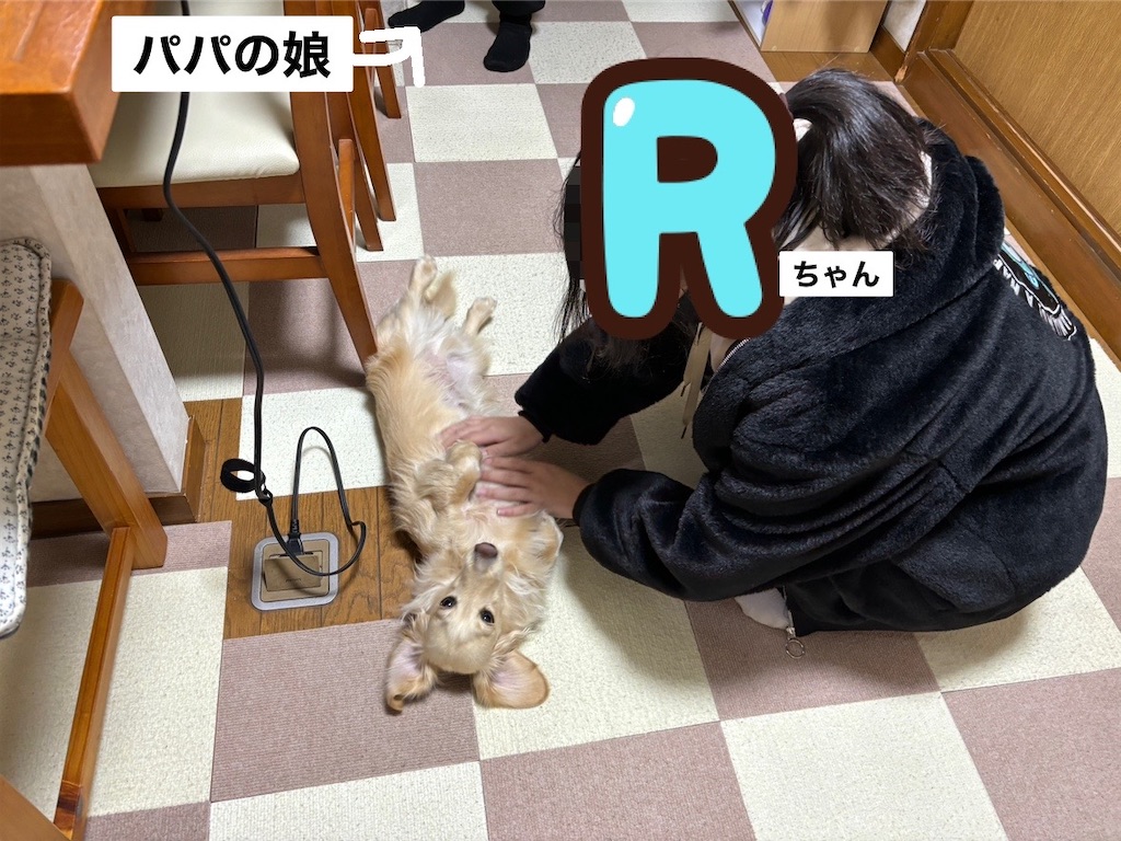 f:id:renkunno:20240219211740j:image