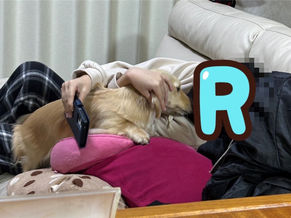 f:id:renkunno:20240220134408j:image