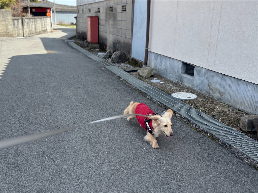 f:id:renkunno:20240224214431j:image f:id:renkunno:20240224214431j:image
