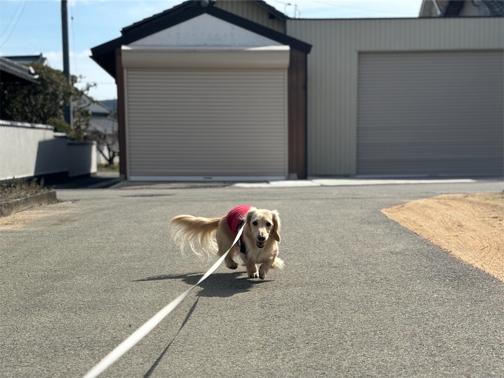 f:id:renkunno:20240224214450j:image f:id:renkunno:20240224214450j:image