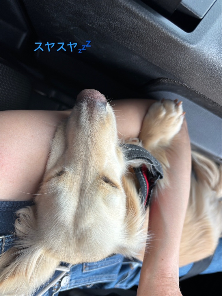 f:id:renkunno:20240412211520j:image