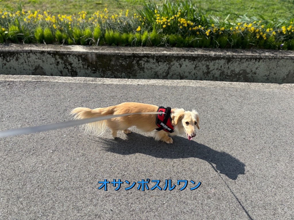 f:id:renkunno:20240413153848j:image