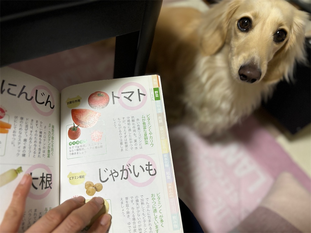 f:id:renkunno:20240419190239j:image