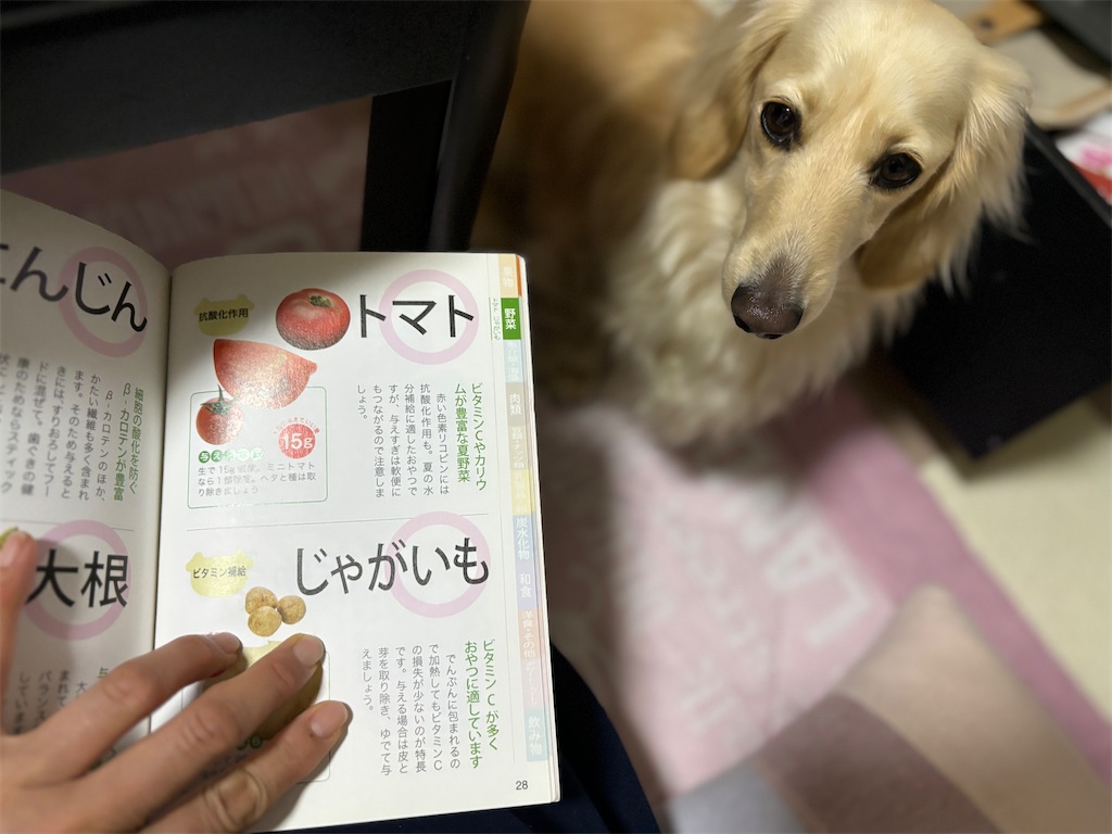 f:id:renkunno:20240419190242j:image