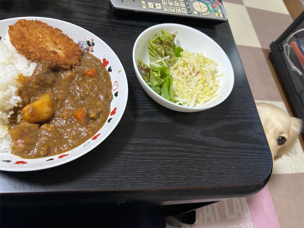 f:id:renkunno:20240421184637j:image f:id:renkunno:20240421184637j:image