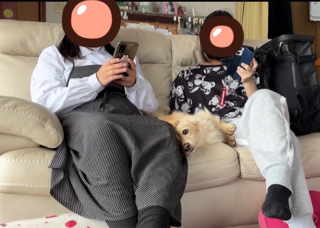 f:id:renkunno:20240423154407j:image