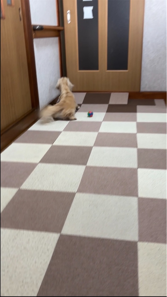 f:id:renkunno:20240427165136j:image f:id:renkunno:20240427165136j:image