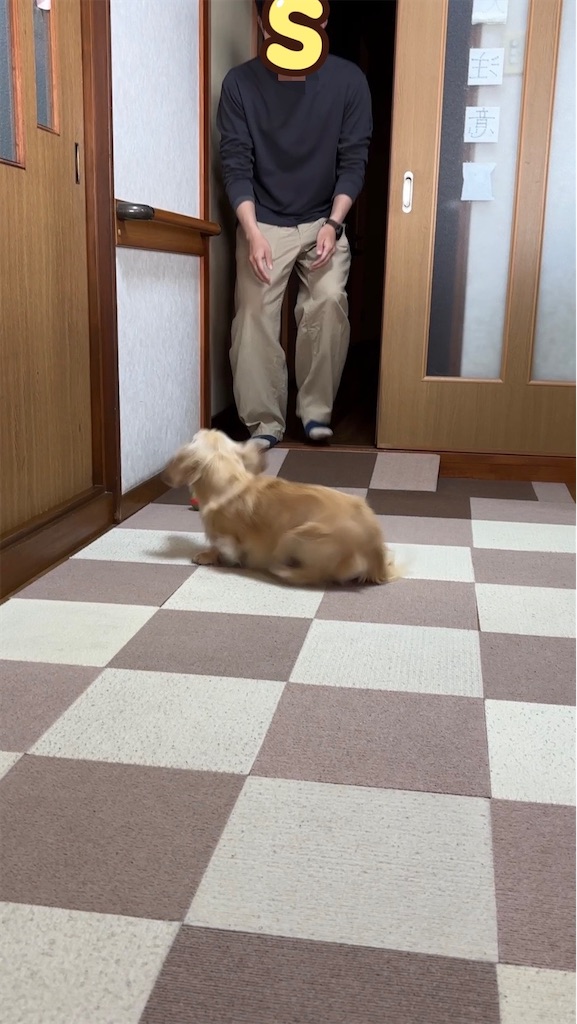 f:id:renkunno:20240427213110j:image f:id:renkunno:20240427213110j:image