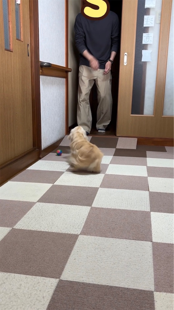 f:id:renkunno:20240427213112j:image f:id:renkunno:20240427213112j:image