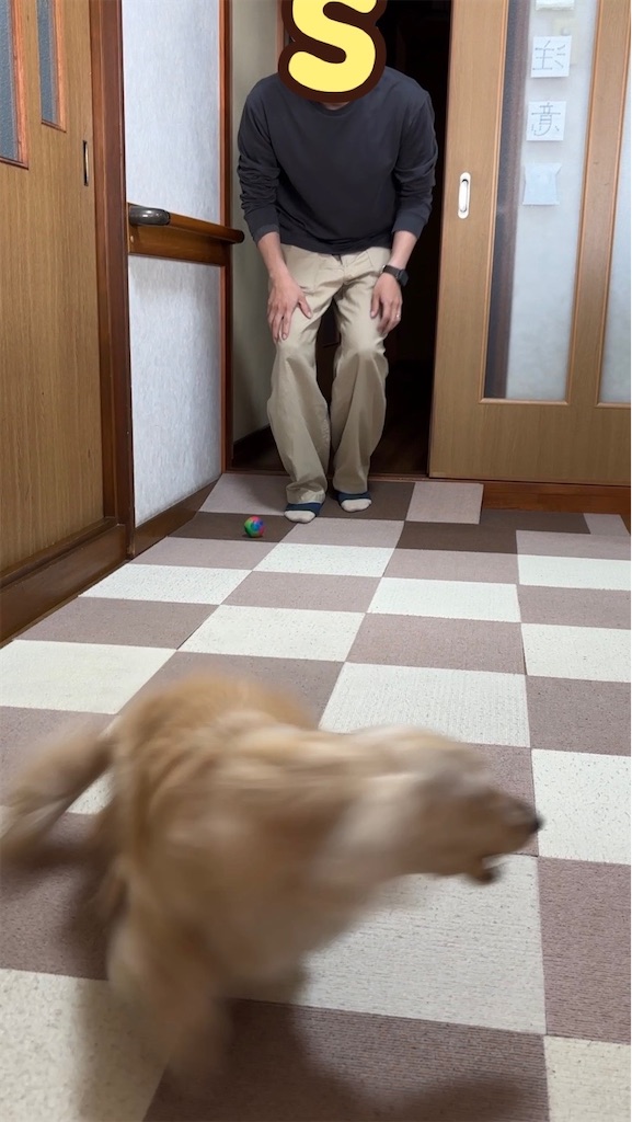 f:id:renkunno:20240427213235j:image f:id:renkunno:20240427213235j:image