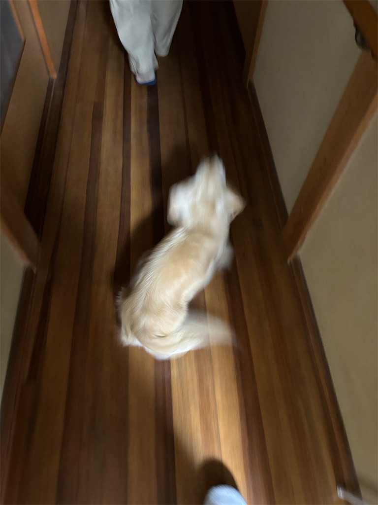 f:id:renkunno:20240427215202j:image f:id:renkunno:20240427215202j:image