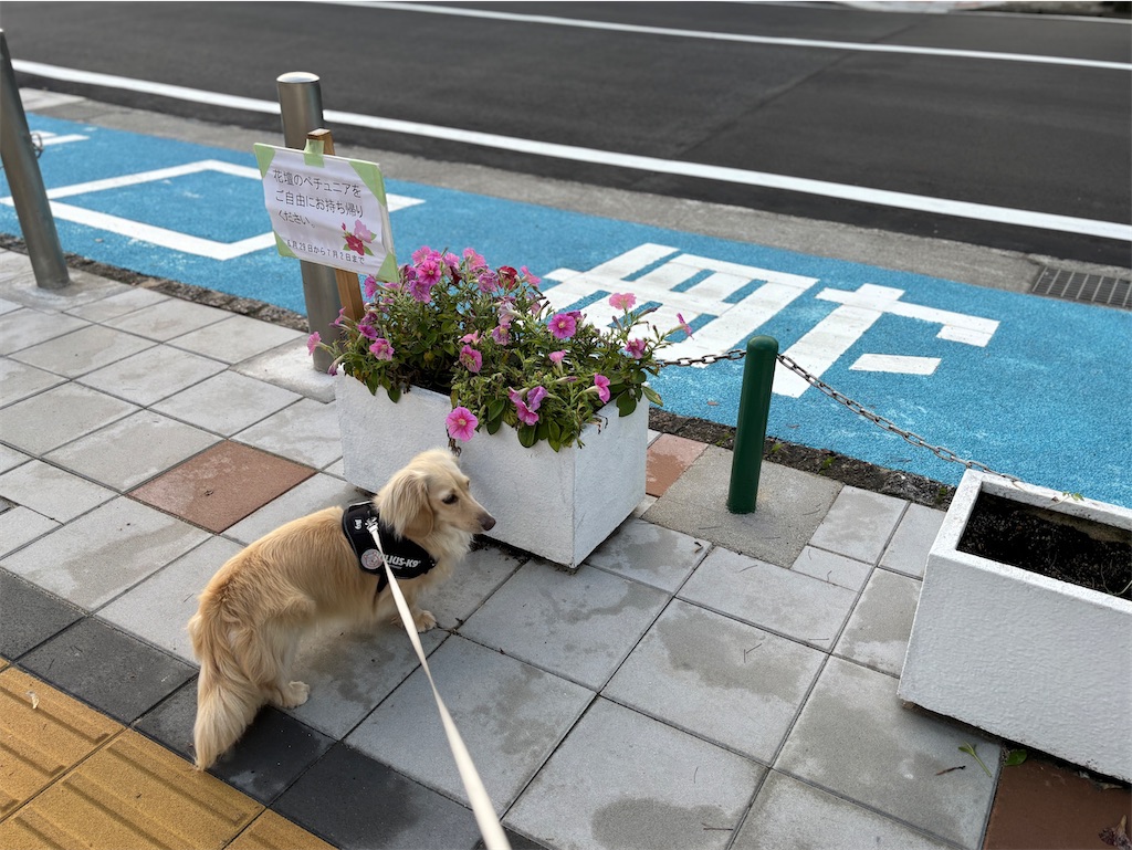 f:id:renkunno:20240629115229j:image