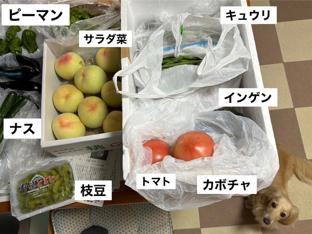 f:id:renkunno:20240701115236j:image f:id:renkunno:20240701115236j:image