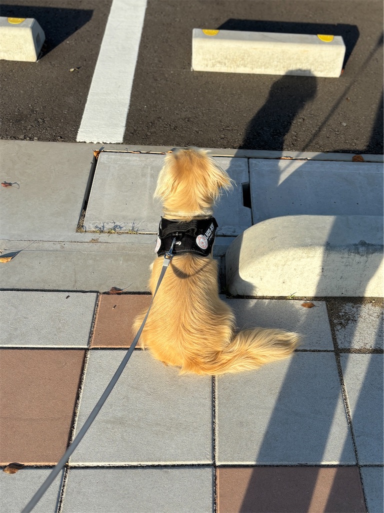 f:id:renkunno:20240708140836j:image
