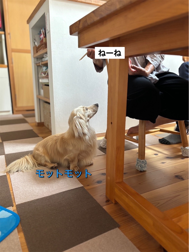 f:id:renkunno:20240712091733j:image