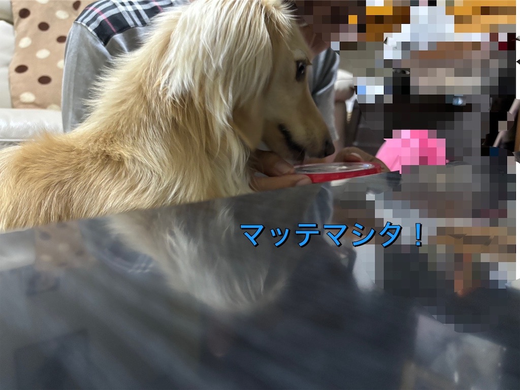 f:id:renkunno:20240722110545j:image