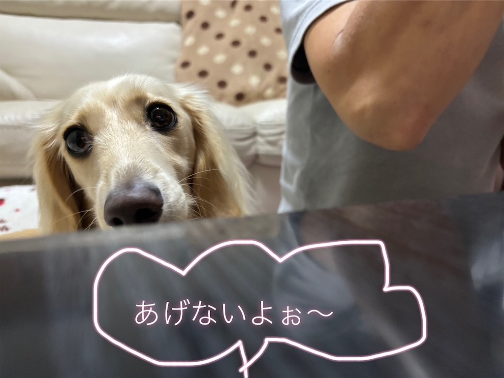 f:id:renkunno:20240722110548j:image