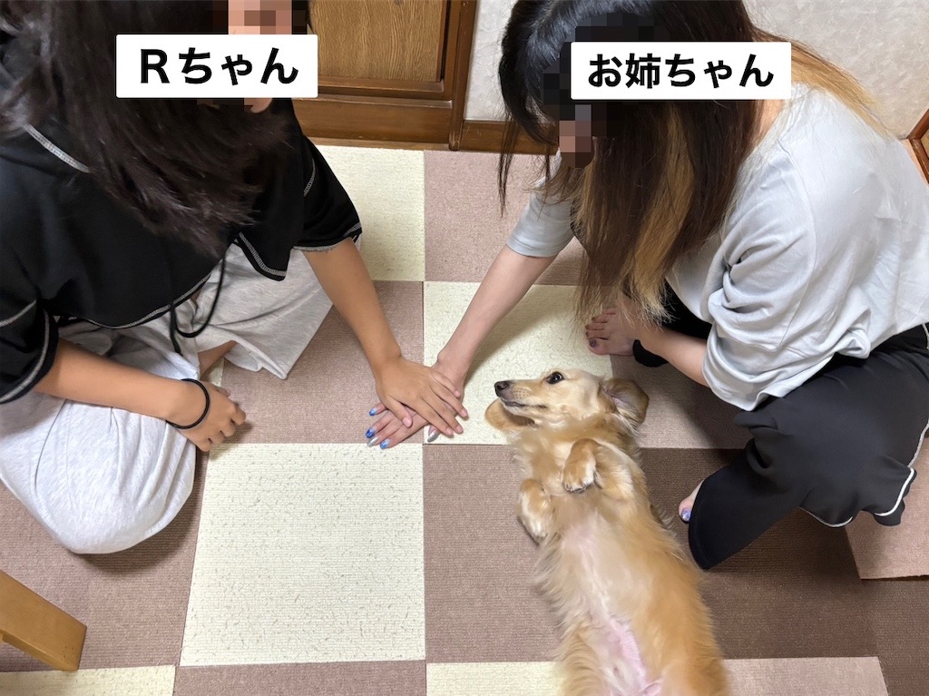 f:id:renkunno:20240814105911j:image