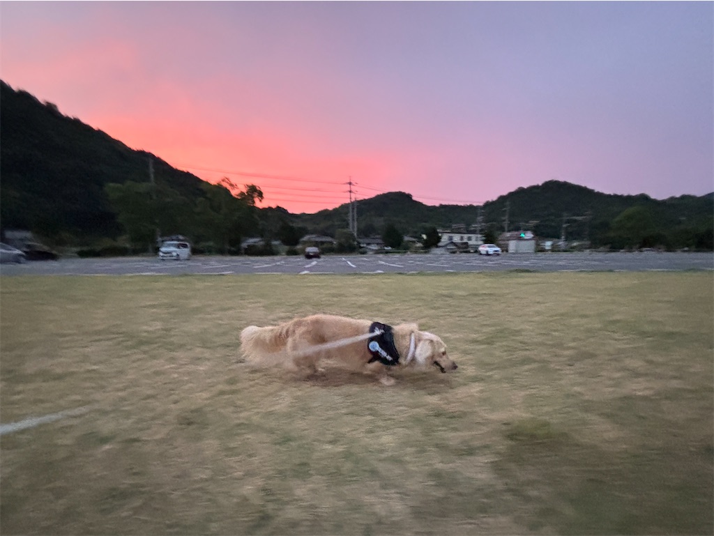 f:id:renkunno:20240819090003j:image