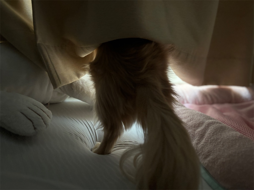 f:id:renkunno:20240820122701j:image