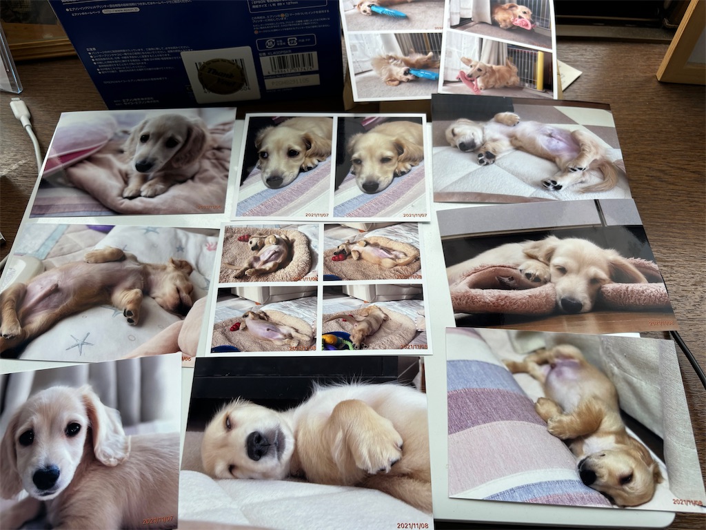 f:id:renkunno:20240820165050j:image