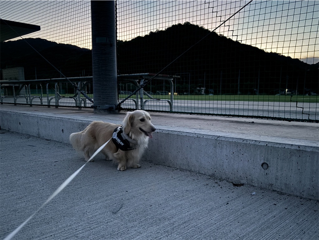 f:id:renkunno:20240824122907j:image
