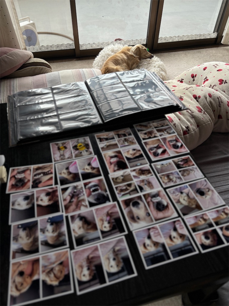 f:id:renkunno:20240830163824j:image